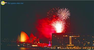 Khám Phá Xứ Sở Chuột Túi Chào Năm Mới 2024